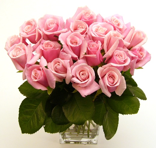 http://clouddragon.files.wordpress.com/2009/02/valentine-pink-roses.jpg